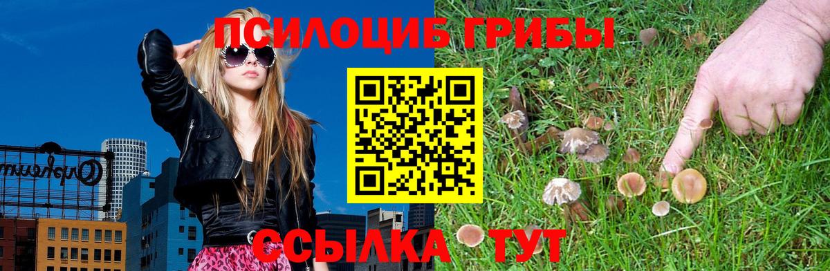 Псилоцибиновые грибы MAGIC MUSHROOMS  где можно купить наркотик  Псилоцибиновые грибы GOLDEN TEACHER  Стрежевой  Вход с VPN 